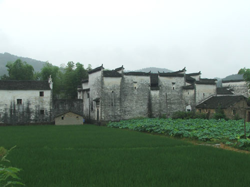 新闻图片2